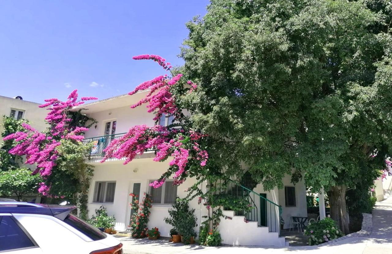 דרבניק Apartments Martin מראה חיצוני תמונה