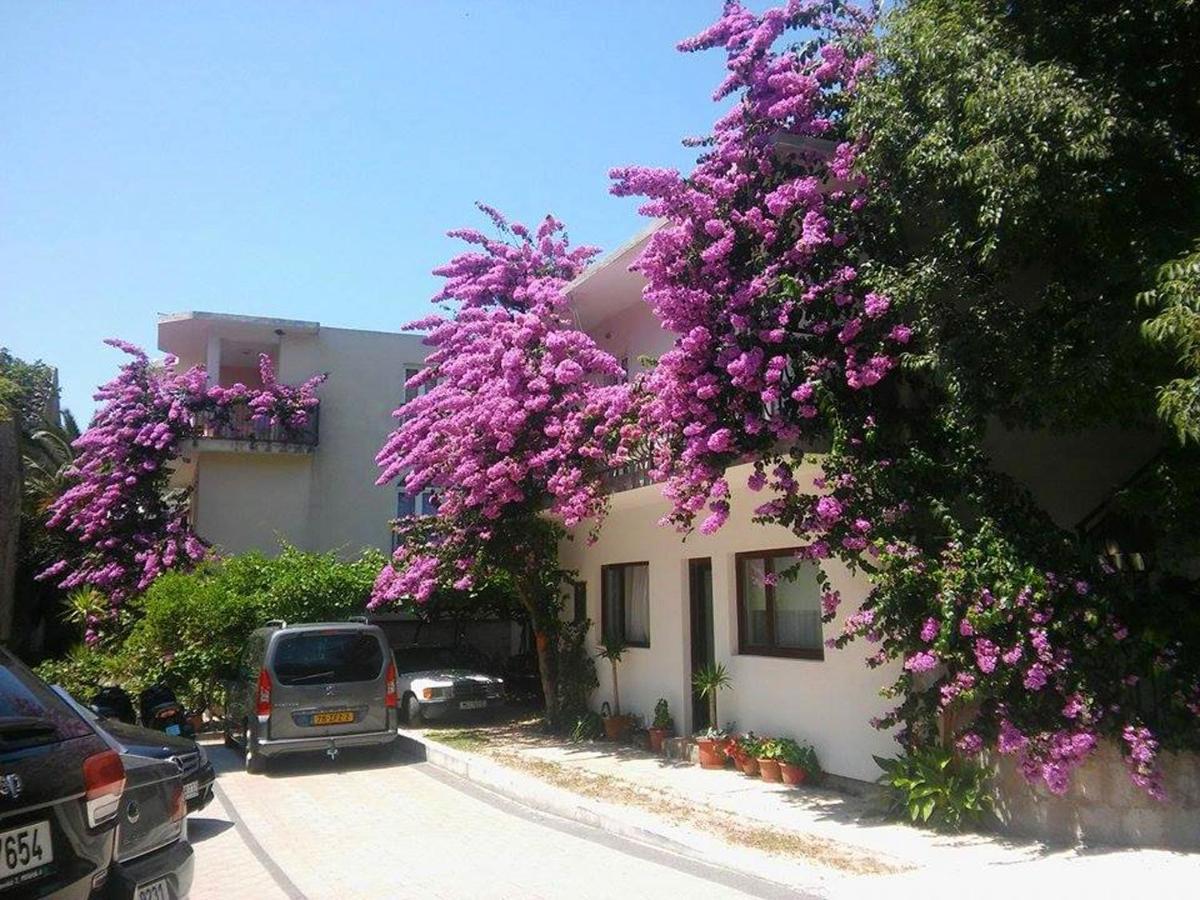 דרבניק Apartments Martin מראה חיצוני תמונה